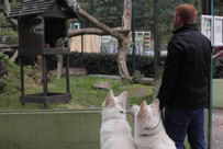 Dash & Vinia schauen auch sehr interessiert